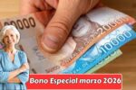 Bono Especial marzo 2026: monto confirmado, registro en la plataforma Patria y fecha de pago